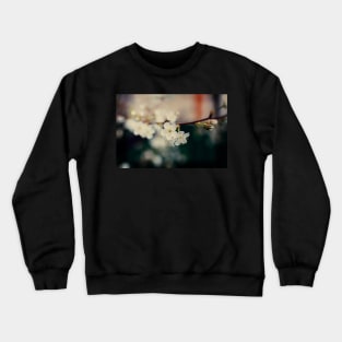 White Cherry flowers Crewneck Sweatshirt